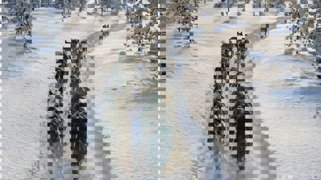 Gezelligheid
